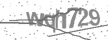 visual captcha